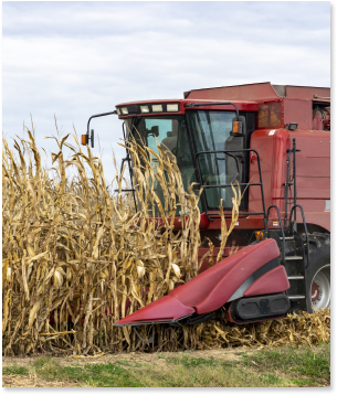 Raízen - Case de Sucesso - Amazon Tec